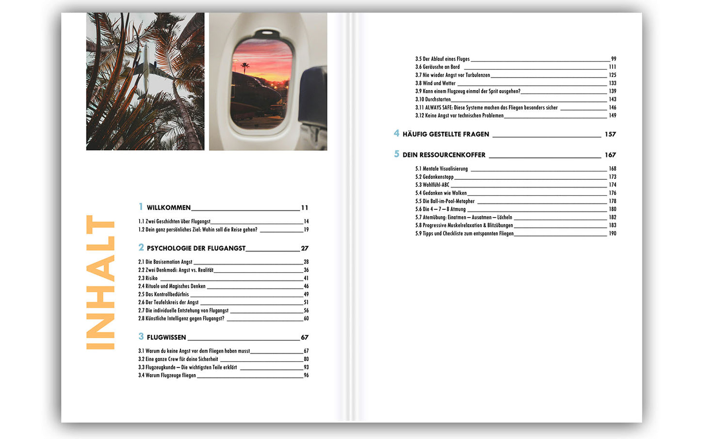 „Flugangst Besiegen" - das Buch (bald verfügbar)