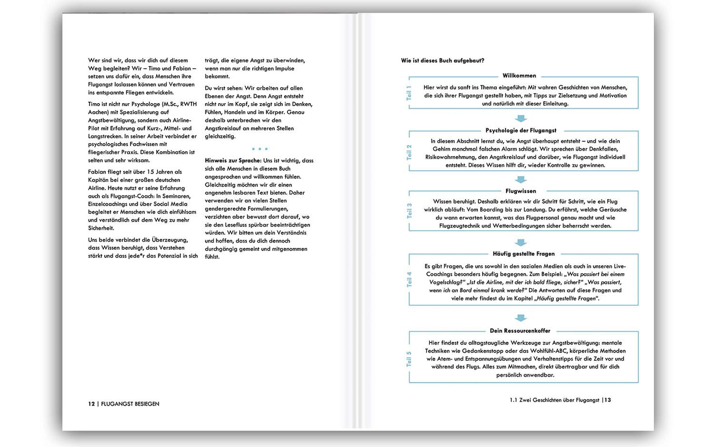 „Flugangst Besiegen" - das Buch (bald verfügbar)
